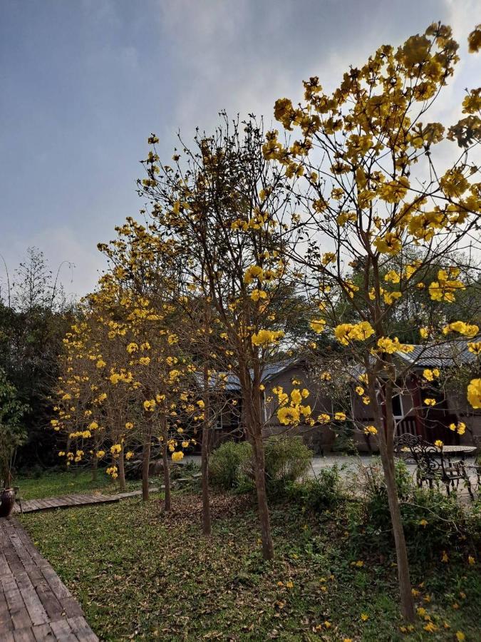 蓬萊生態農場仙山民宿 Nanzhuang Exteriör bild